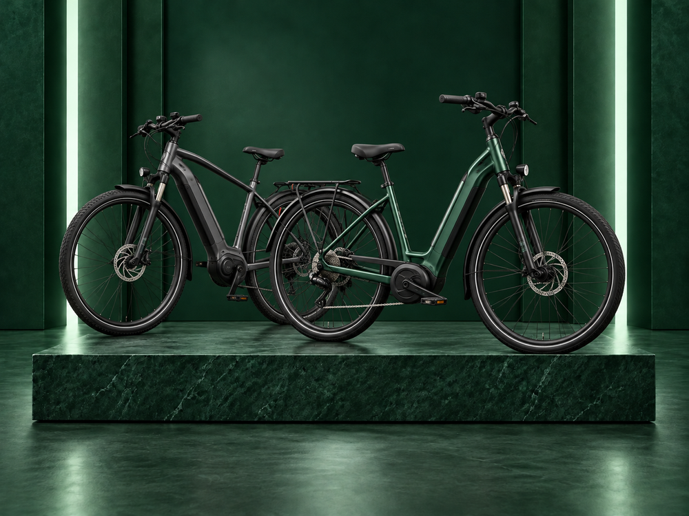 Ebikes